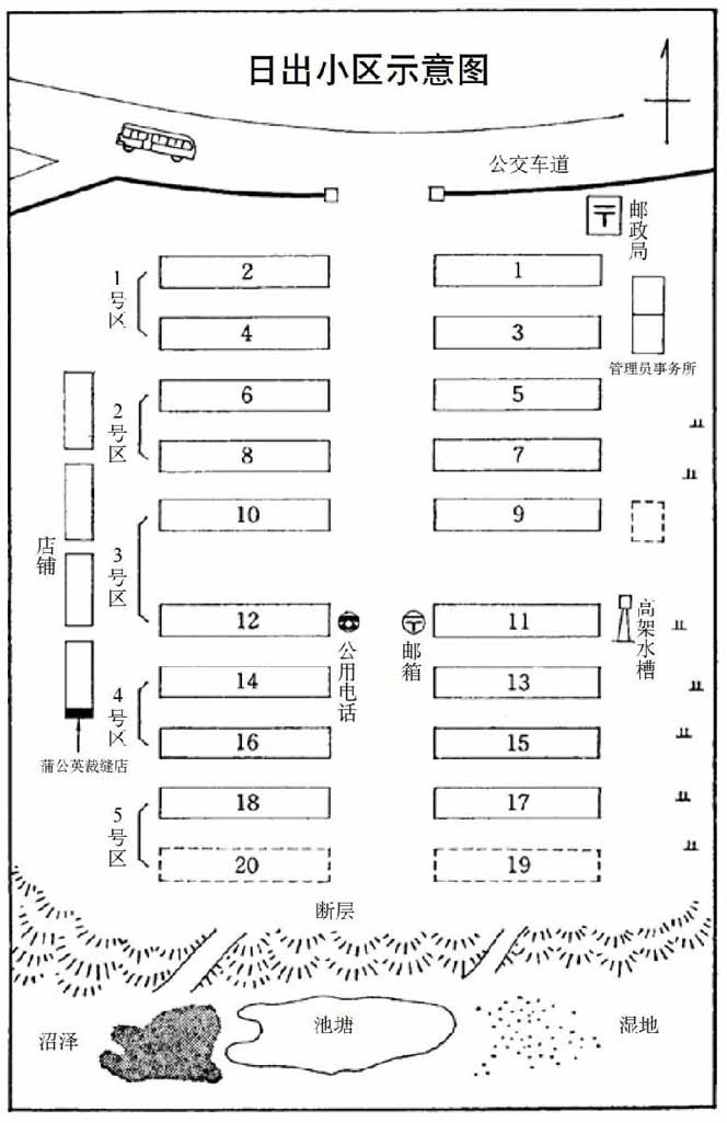 白与黑