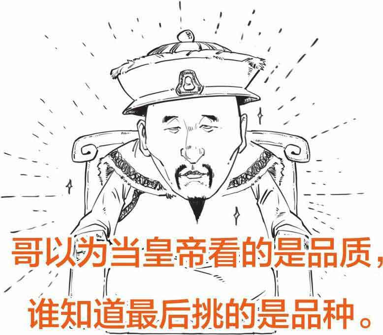 半小时漫画中国史