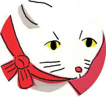 夜半蜘蛛猴