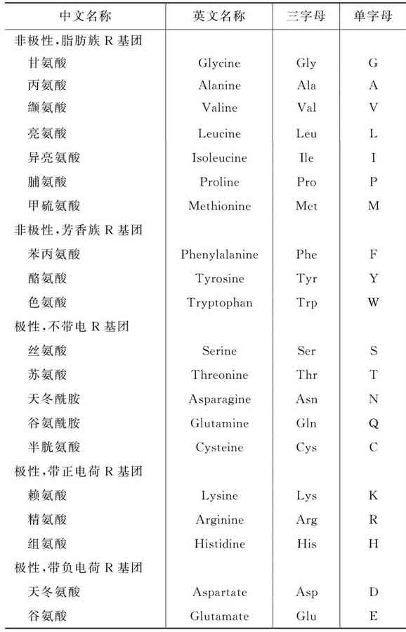 玻璃塔谜案