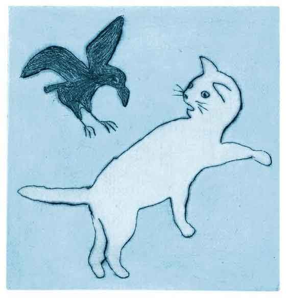 大萝卜和难挑的鳄梨