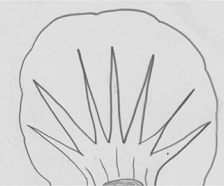 怪画谜案