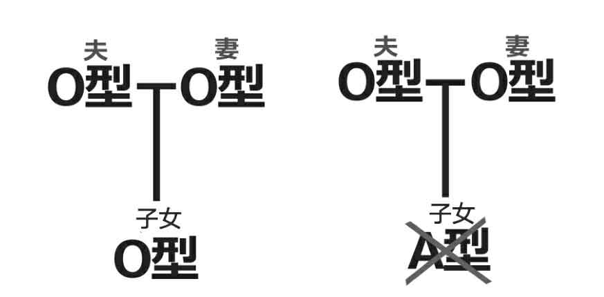 怪屋谜案2
