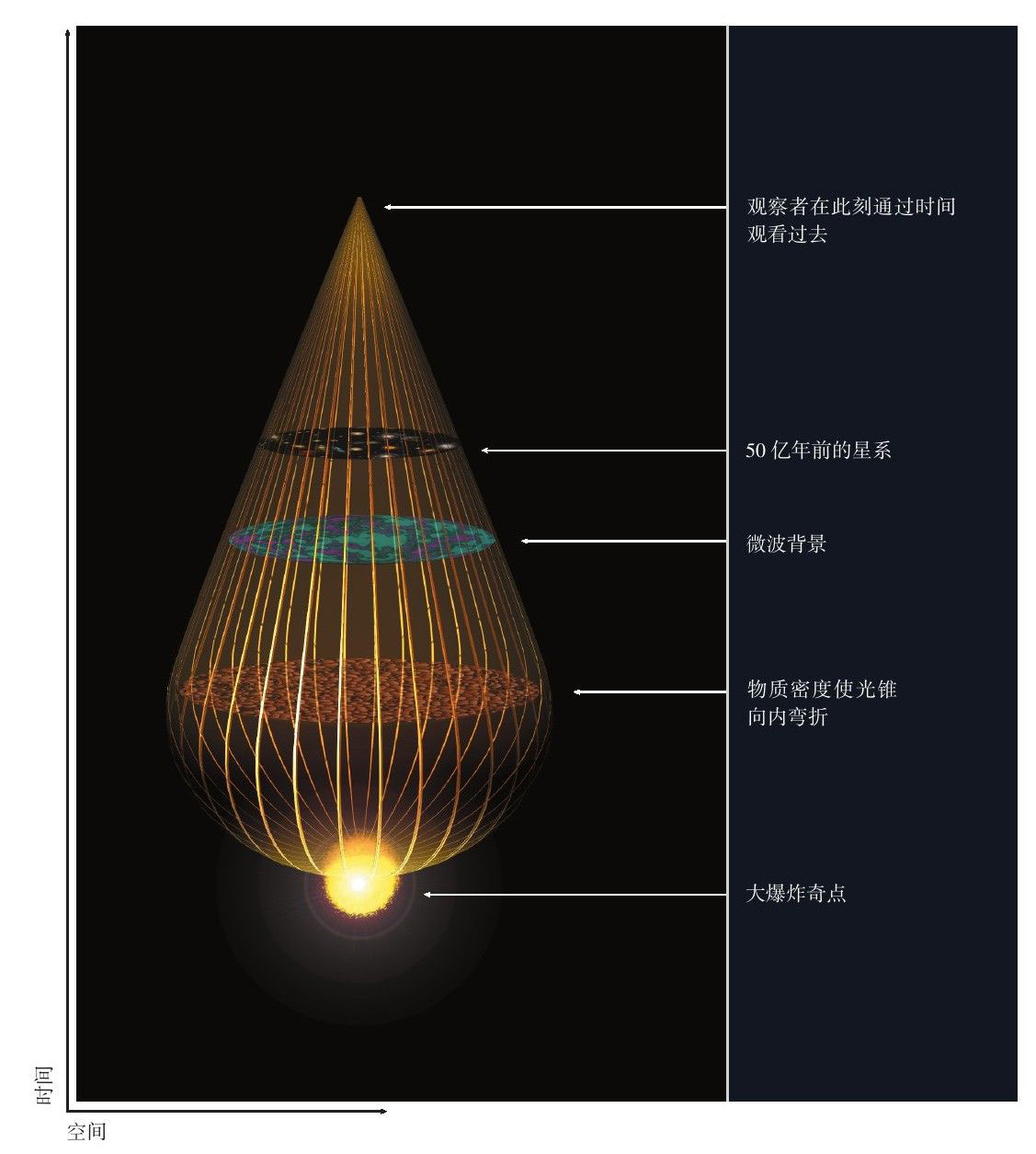 果壳中的宇宙