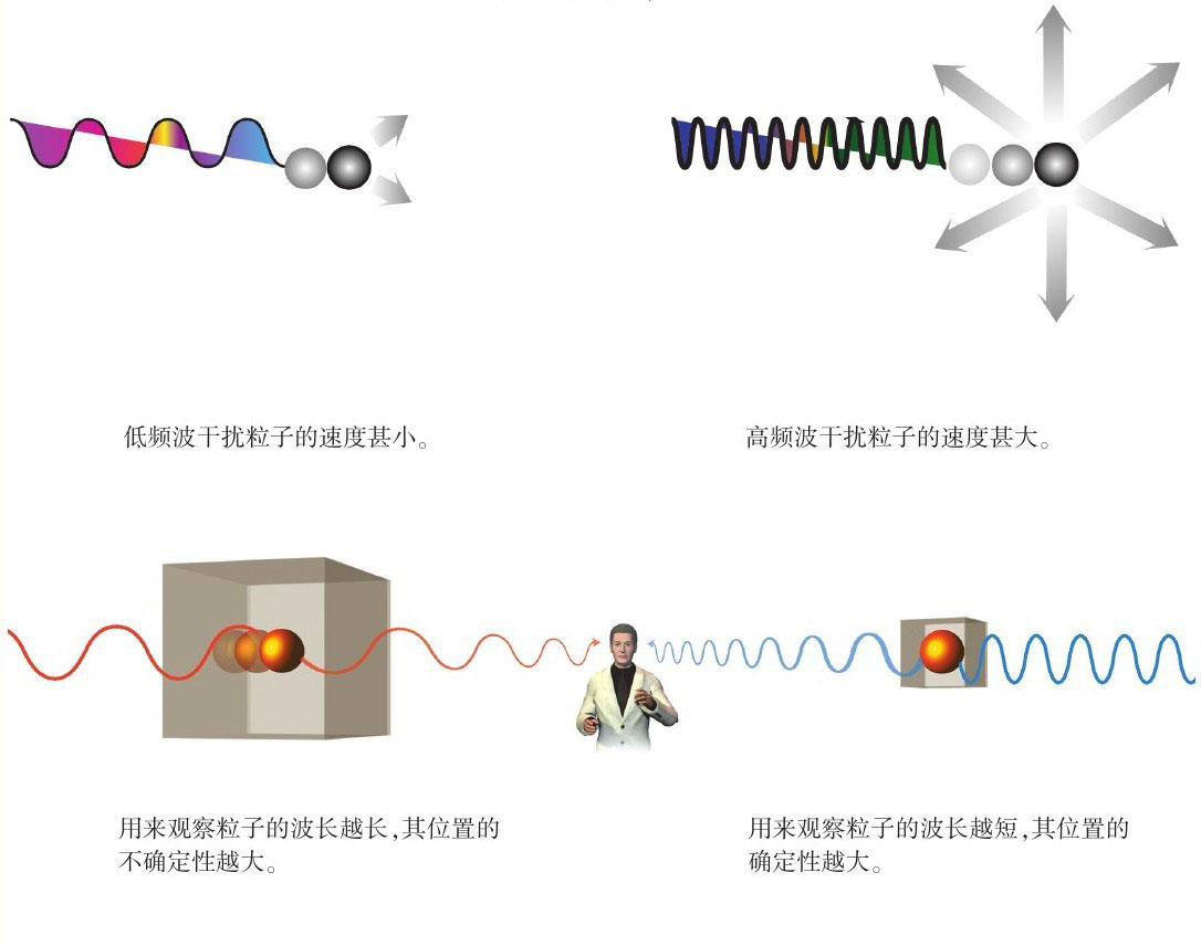 果壳中的宇宙