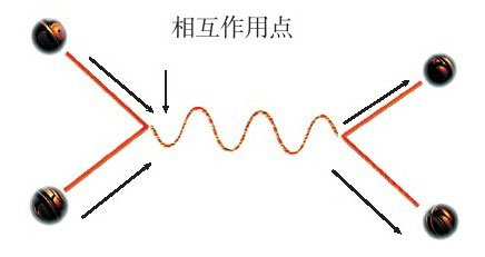 果壳中的宇宙