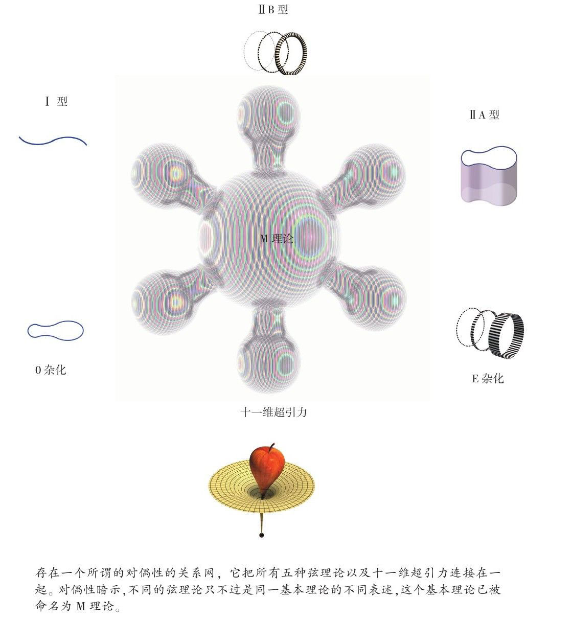 果壳中的宇宙