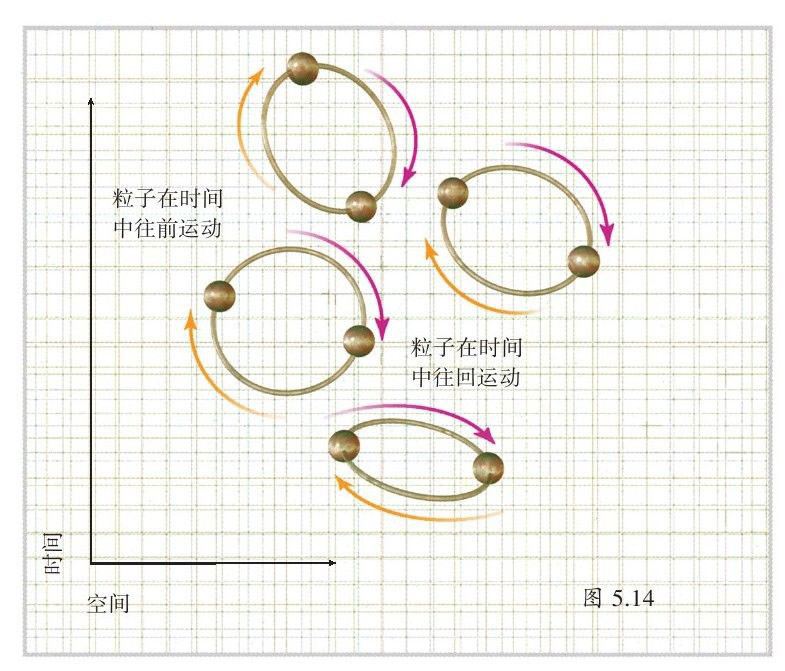 果壳中的宇宙