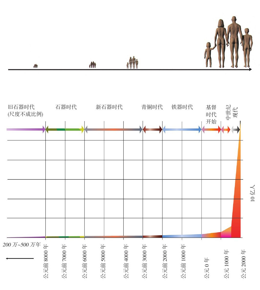 果壳中的宇宙