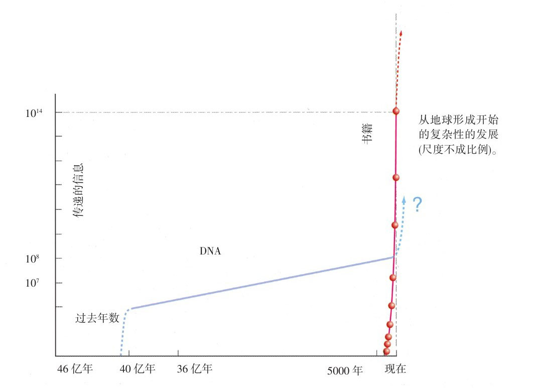 果壳中的宇宙