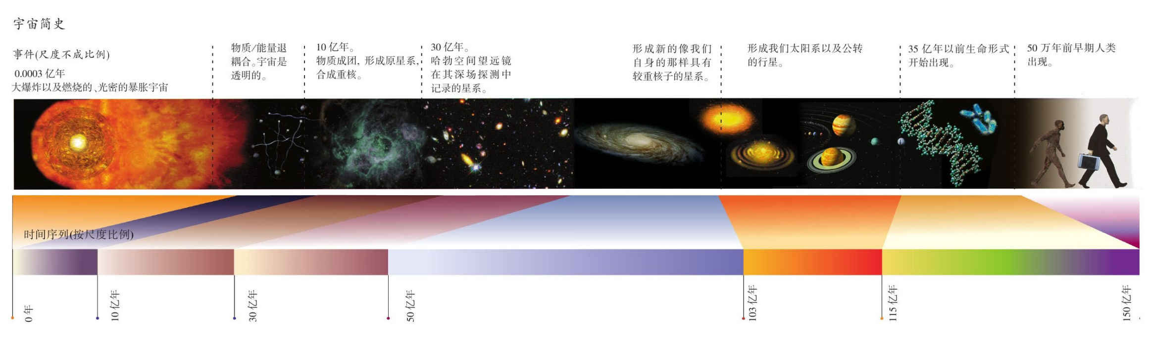 果壳中的宇宙