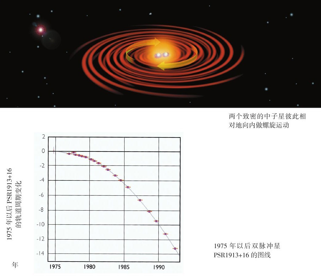 果壳中的宇宙