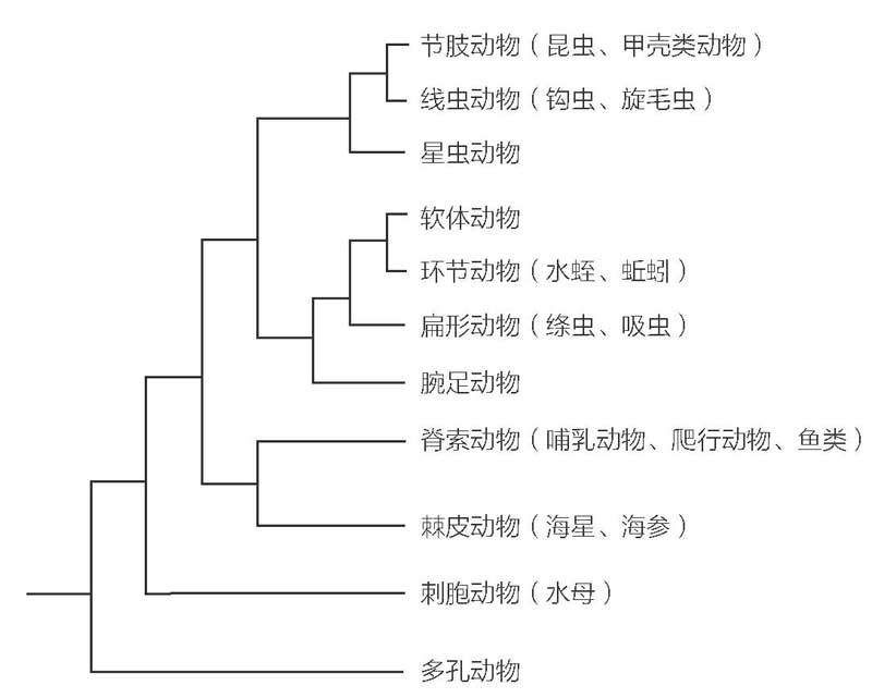 寄生虫星球