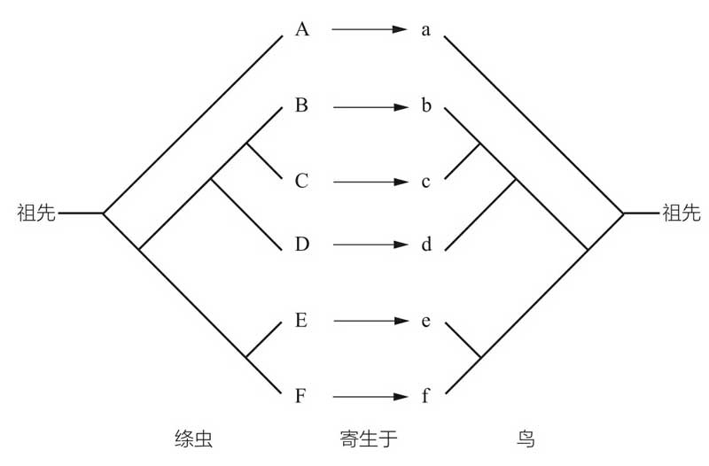 寄生虫星球