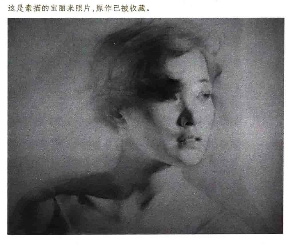 猫鱼