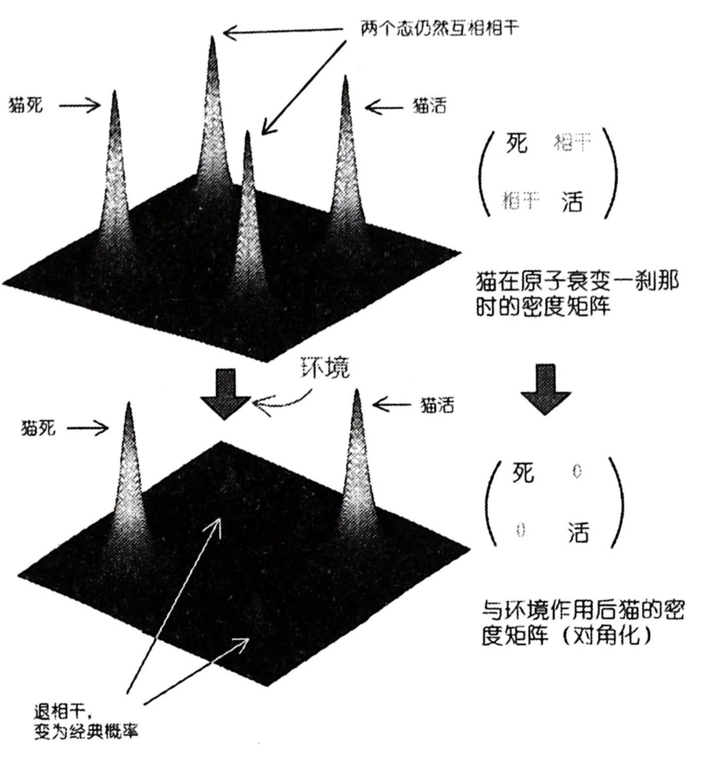 上帝掷骰子吗?:量子物理史话