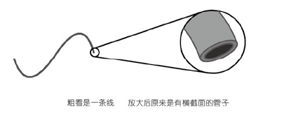 上帝掷骰子吗?:量子物理史话