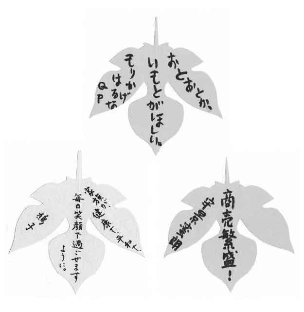 闪闪发光的人生