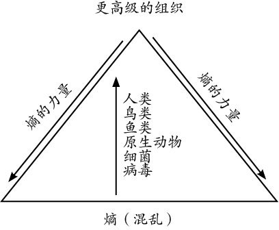 少有人走的路