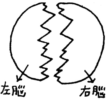 世界尽头与冷酷仙境