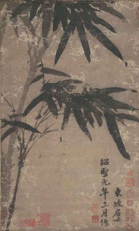 苏东坡新传