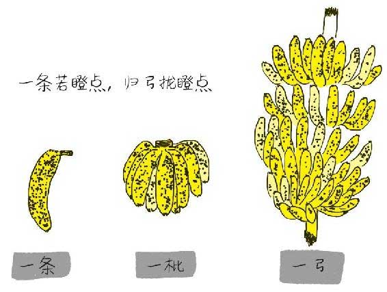 俗女养成记