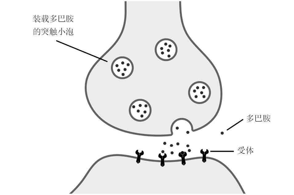 贪婪的多巴胺