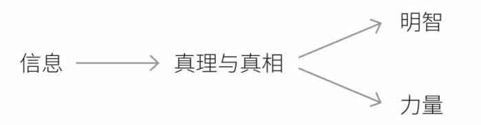 智人之上