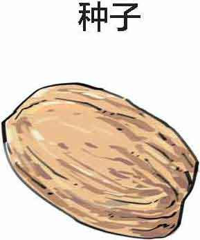 半小时漫画经济学