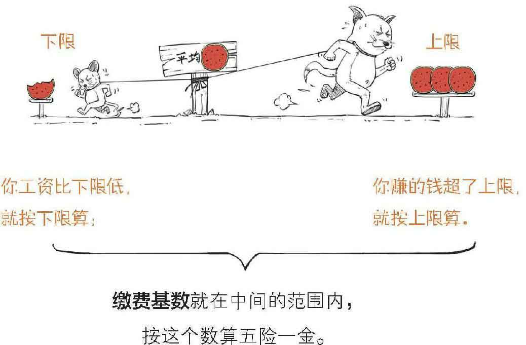 半小时漫画经济学