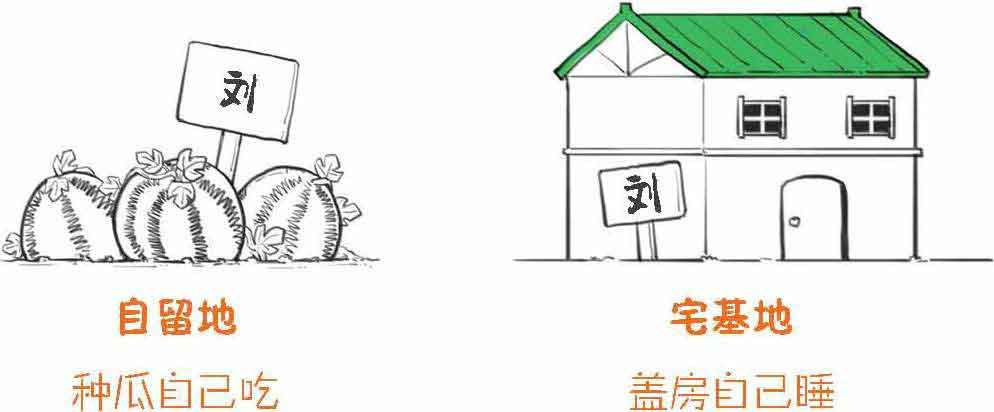 半小时漫画经济学