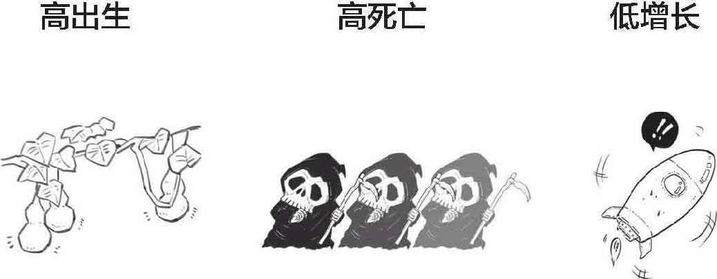 半小时漫画经济学