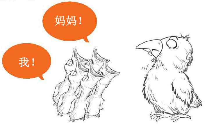半小时漫画经济学