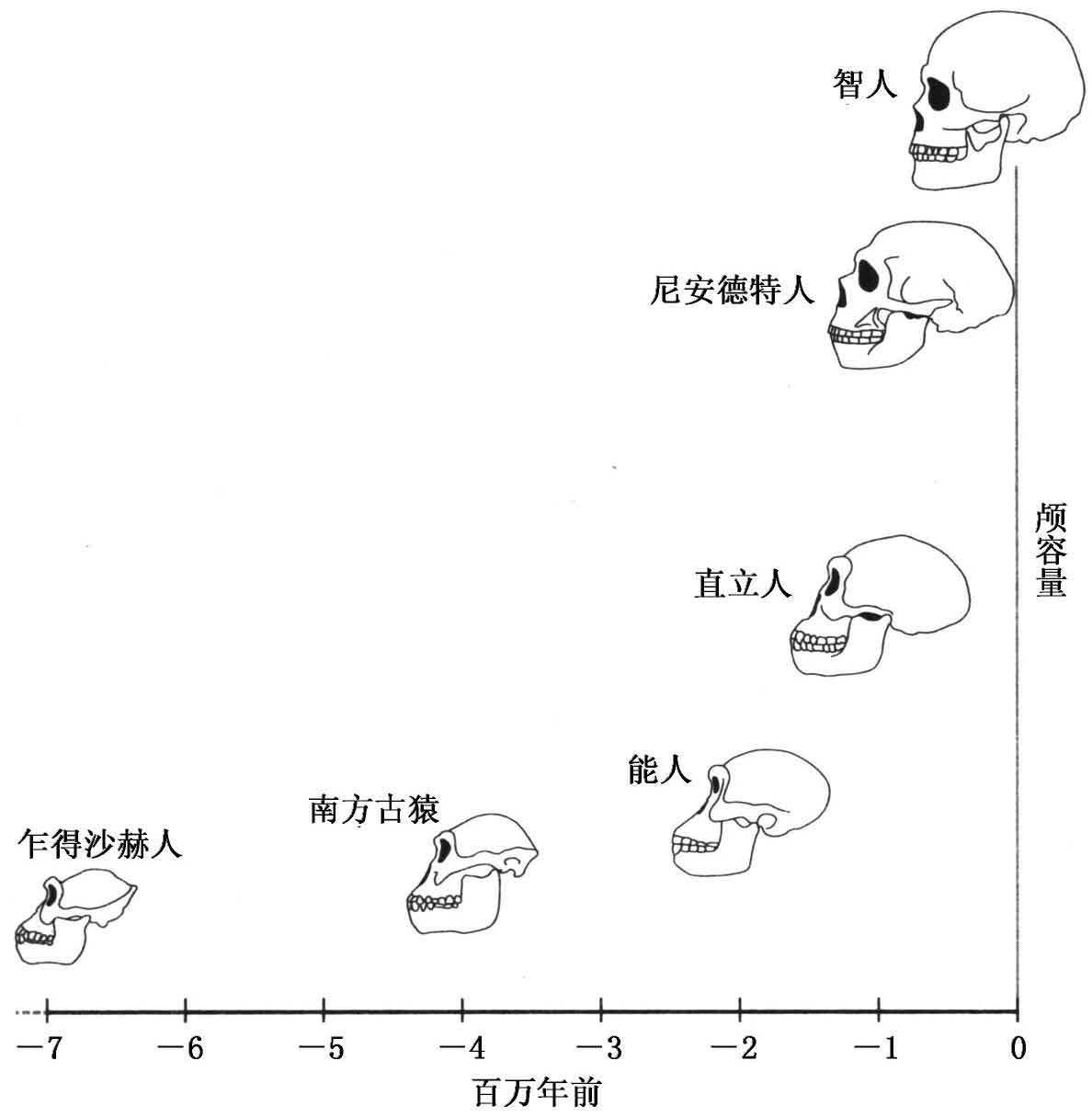 本源