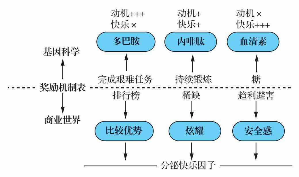 底层逻辑