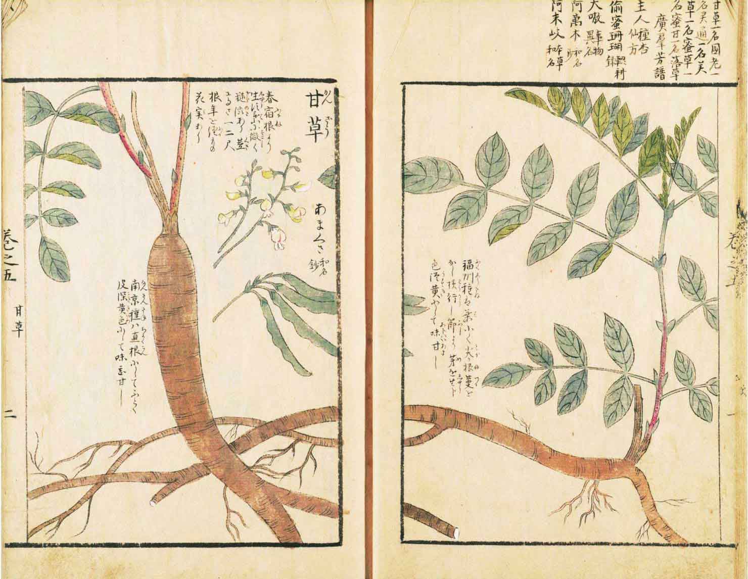 江户时代江户城