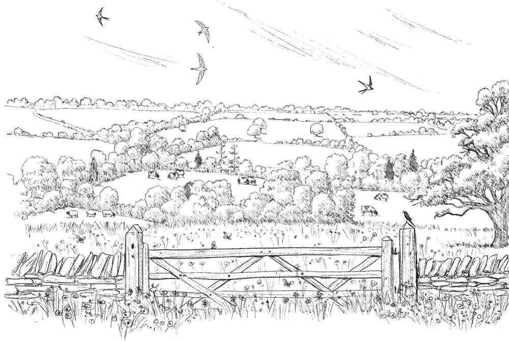 克拉克森的农场