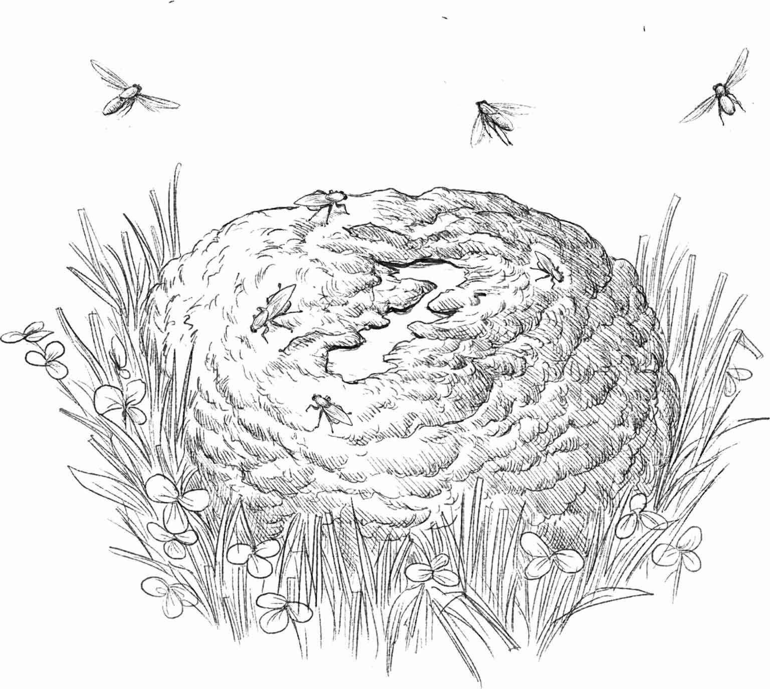 克拉克森的农场