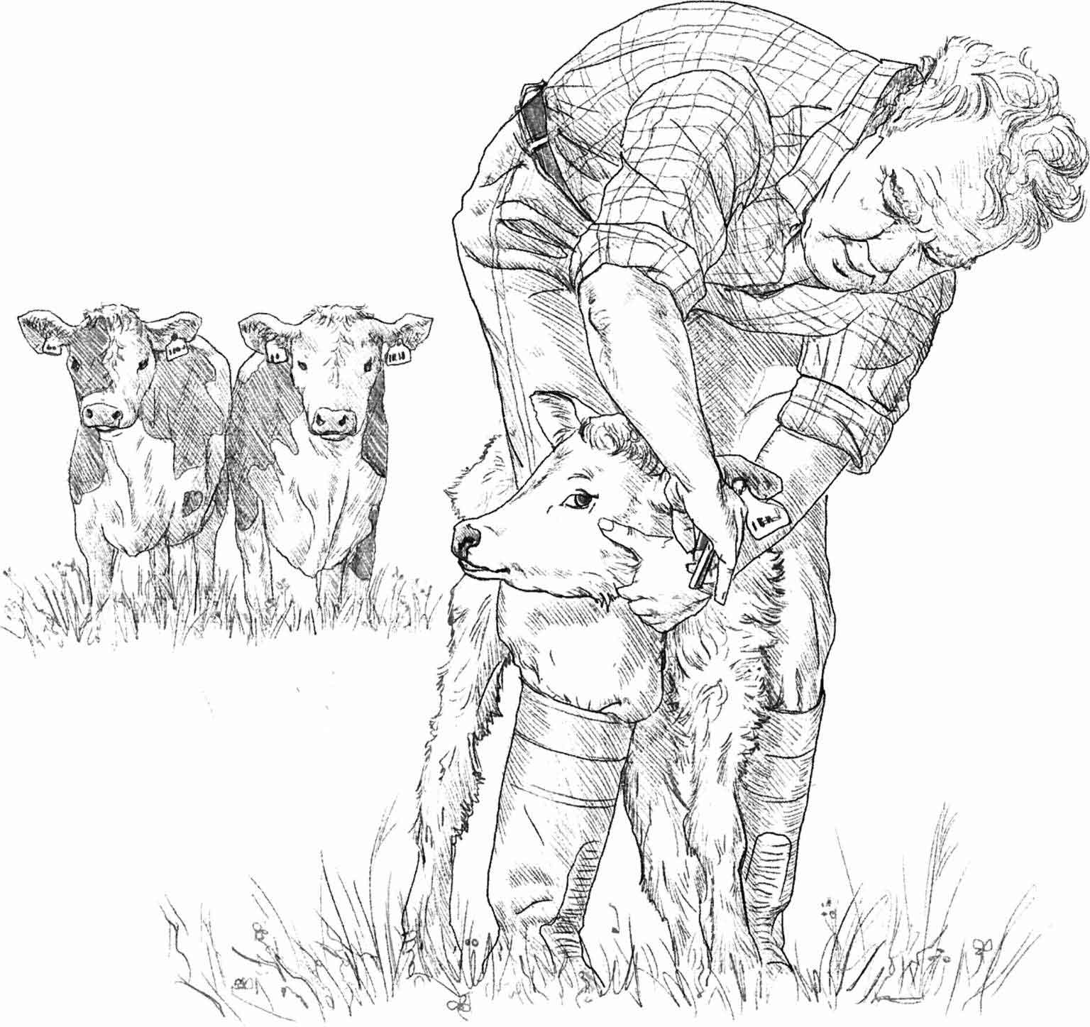 克拉克森的农场