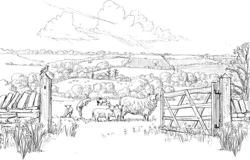 克拉克森的农场