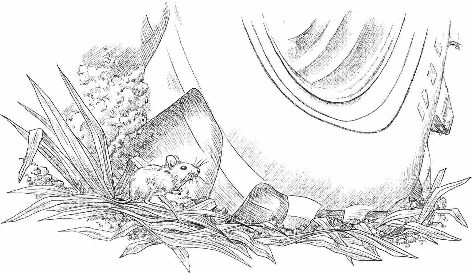 克拉克森的农场