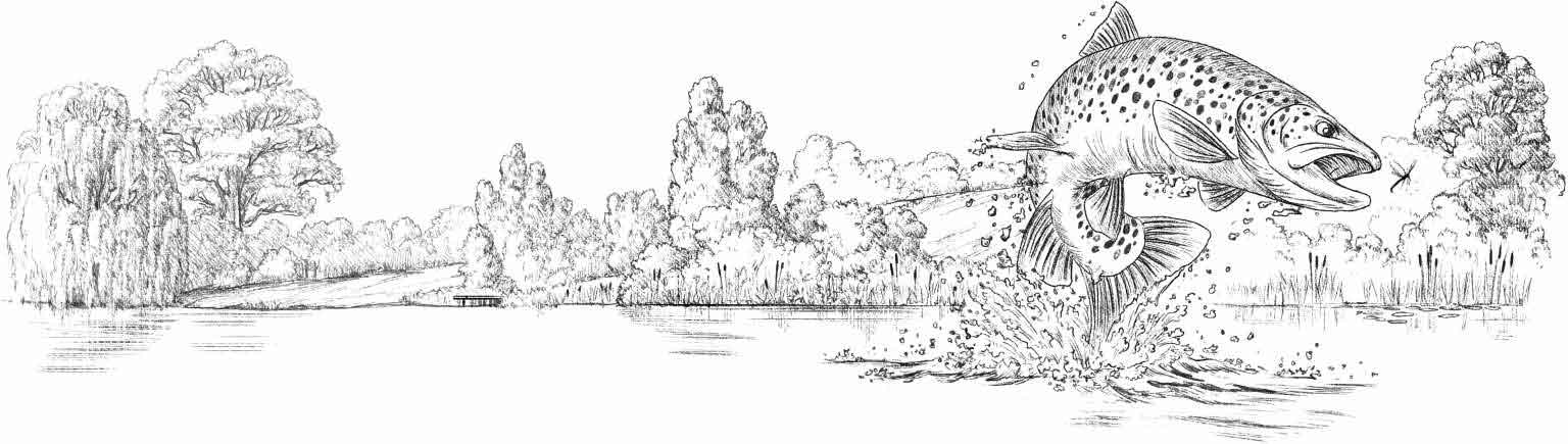 克拉克森的农场