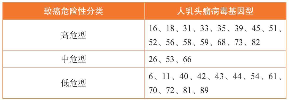上瘾式学习