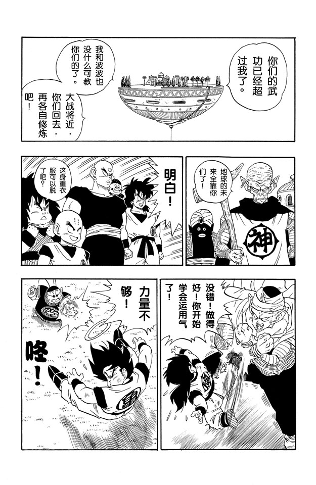 龙珠