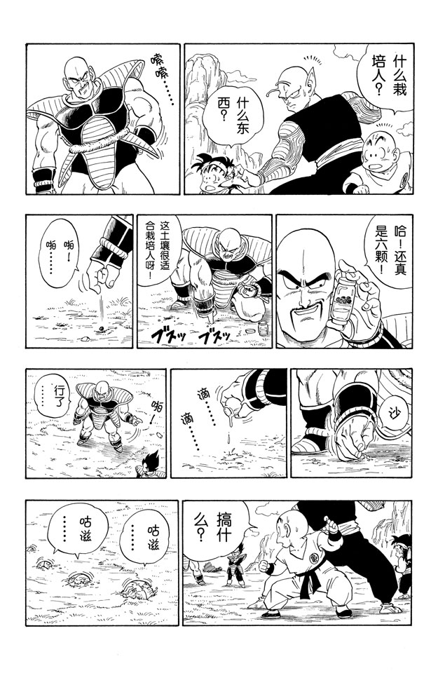 龙珠