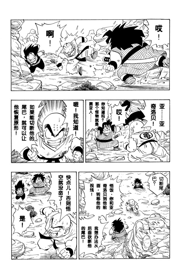 龙珠