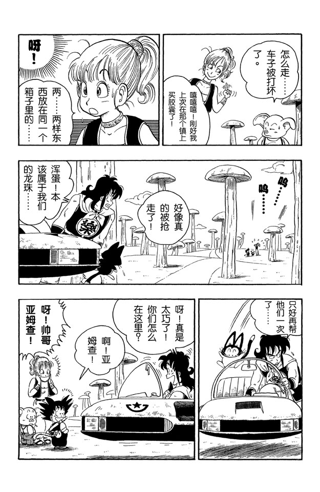 龙珠