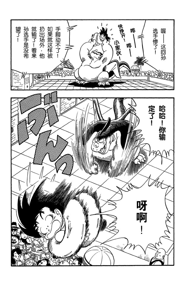 龙珠