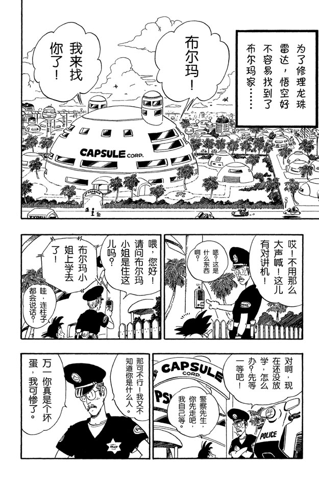 龙珠