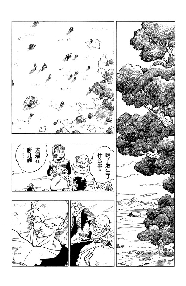 龙珠